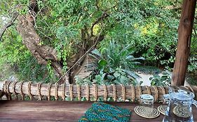 Chole Mjini Treehouses Lodge